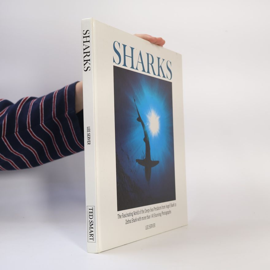 Lee Server Sharks