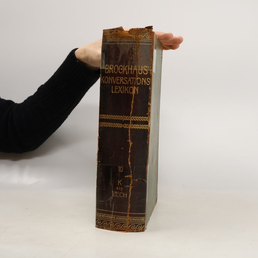 Autorenkollektiv Brockhaus' Konversations Lexikon 10