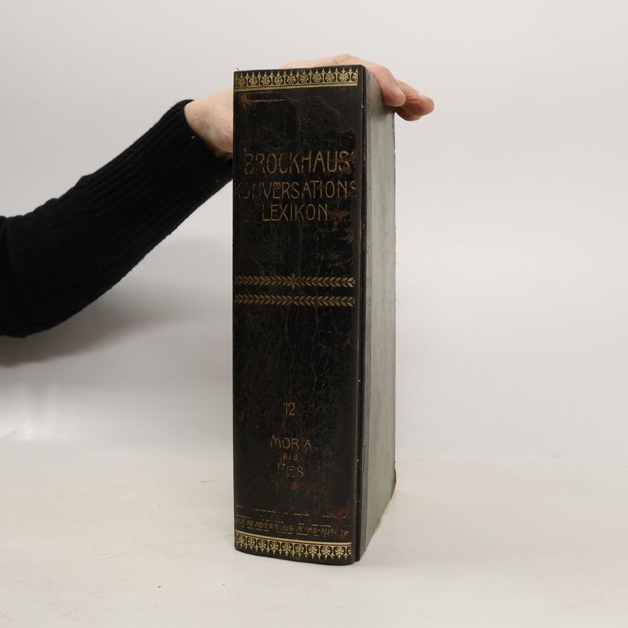 Autorenkollektiv Brockhaus' Konversations-Lexikon 12