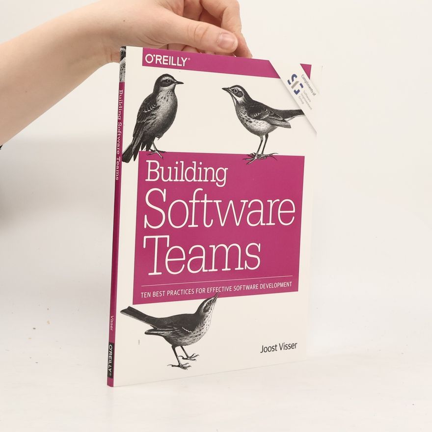 Joost Visser Building Software Teams