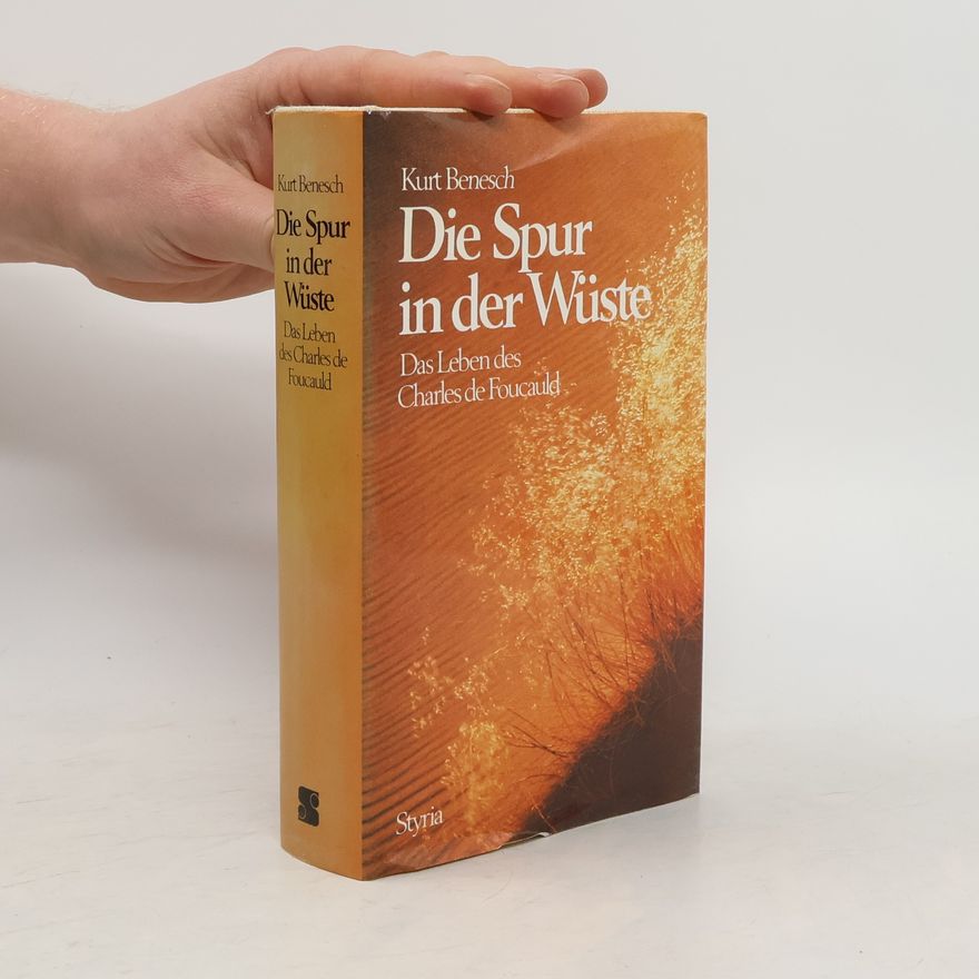 Kurt Benesch Die Spur in der Wüste