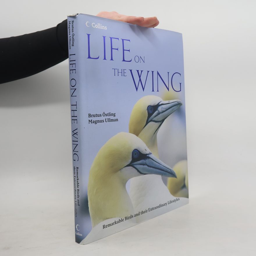 Magnus Ullman Life on the Wing