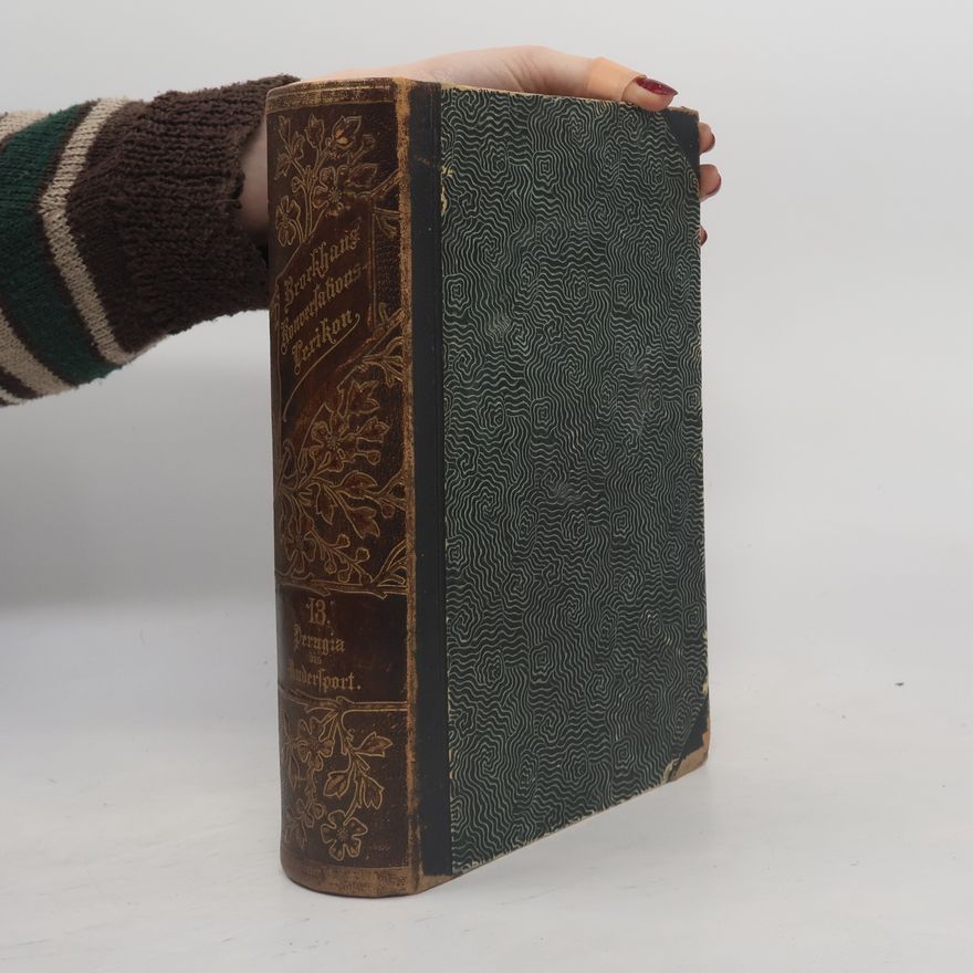 Various authors Brockhaus' Konversations-Lexikon 13