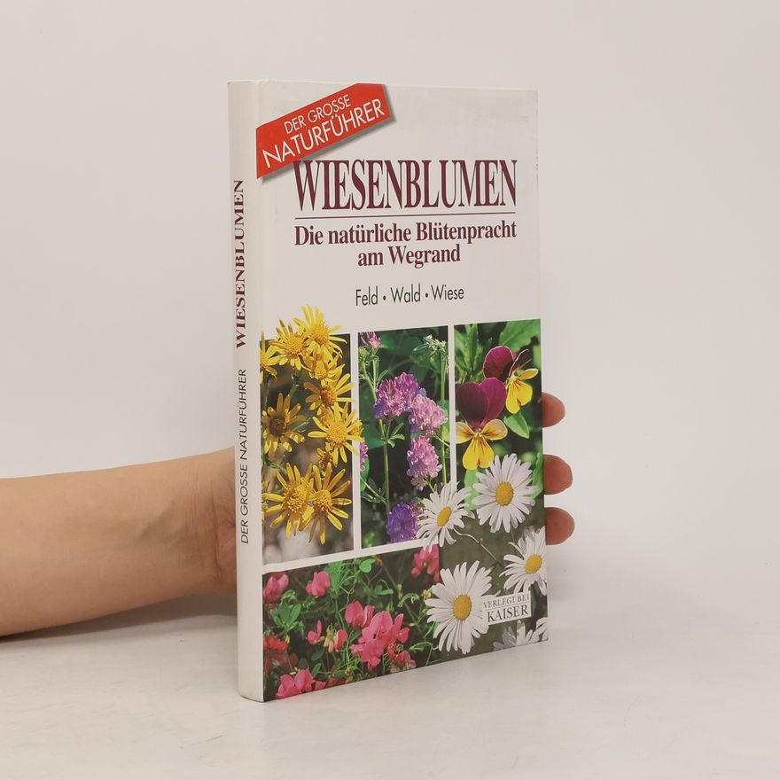 Maria Teresa Della Beffa Wiesenblumen. Die natürliche Blütenpracht am Wegrand. Feld, Wald, Wiese.