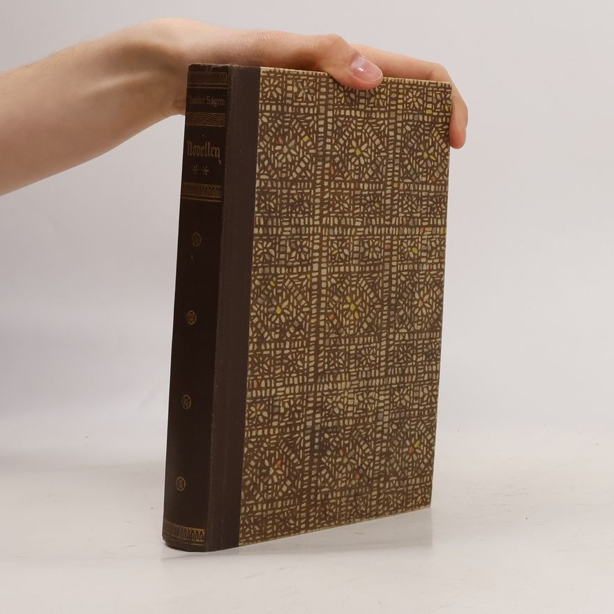 Theodor Strom Novellen II