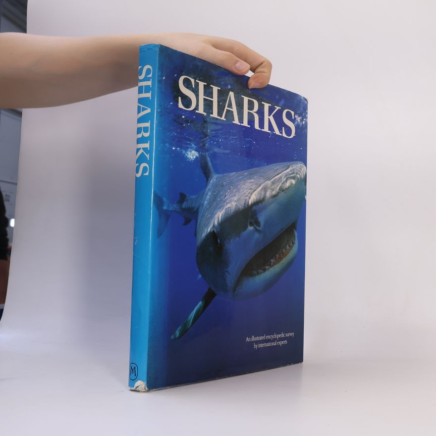 John D. Stevens Sharks