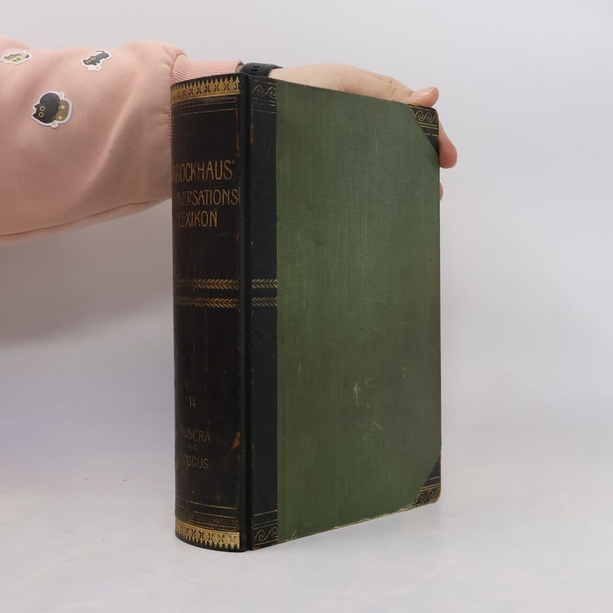 Kolektiv autorů Brockhaus´ Konversations Lexikon 14