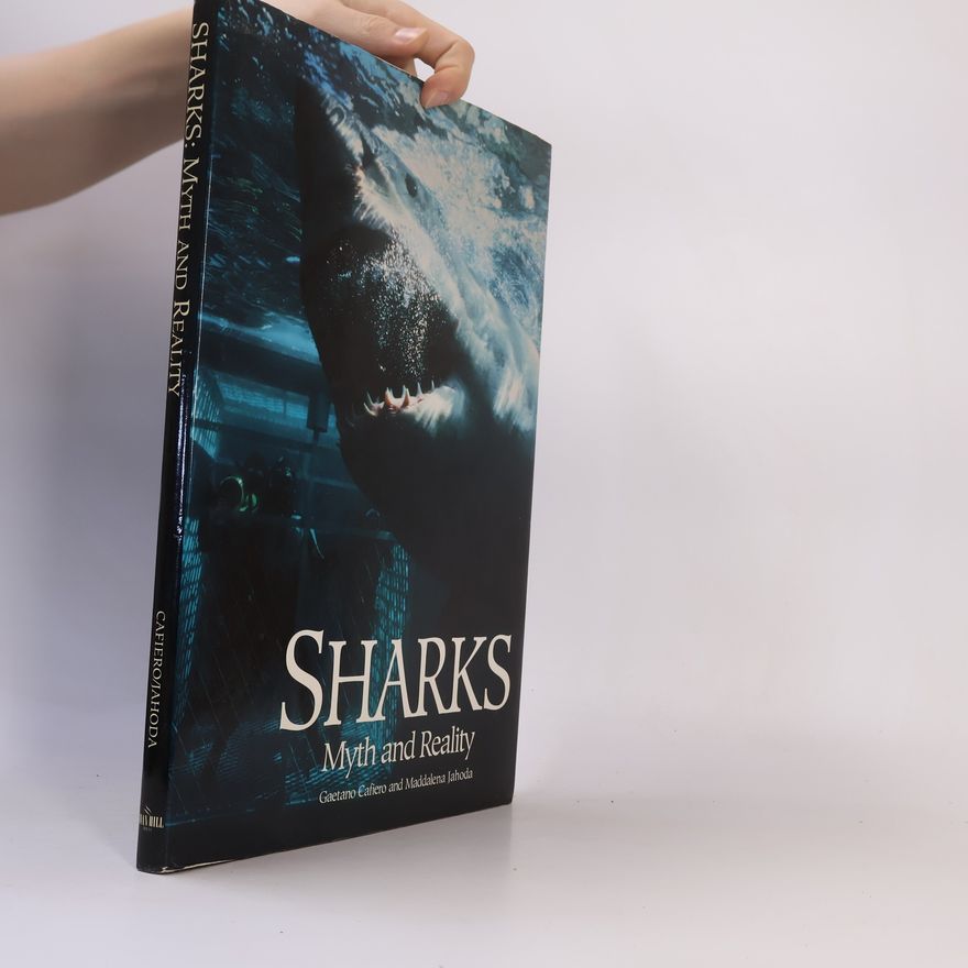 Maddalena Jahoda Sharks