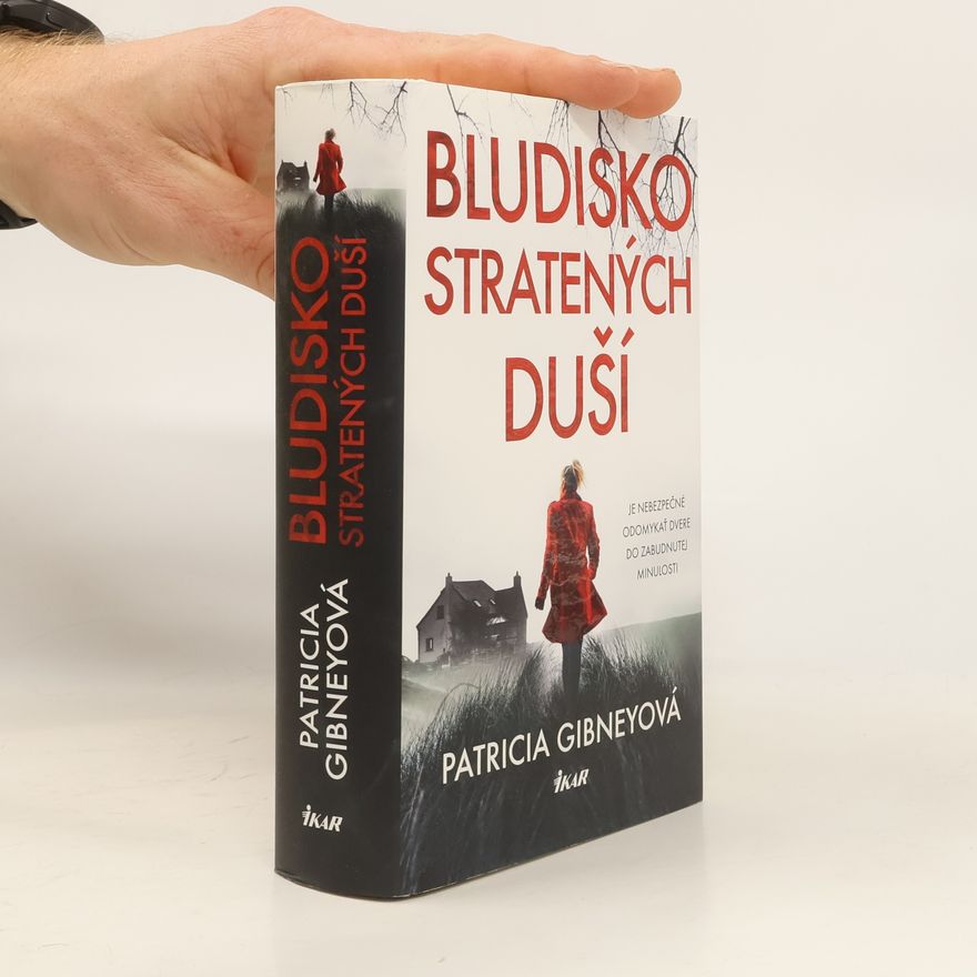 Patricia Gibney Bludisko stratených duší