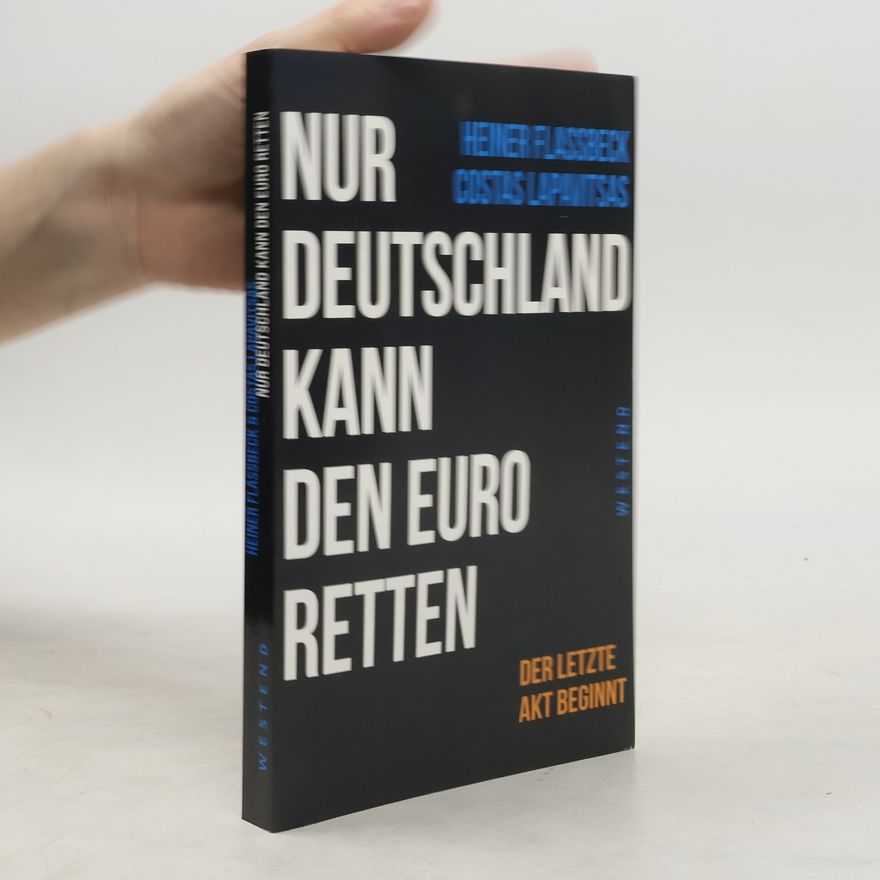 Gerhard Illing Optionen im Euroraum