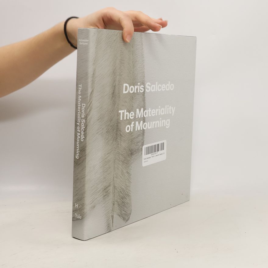 Mary Schneider Enriquez Harvard Art Museums Series: Doris Salcedo