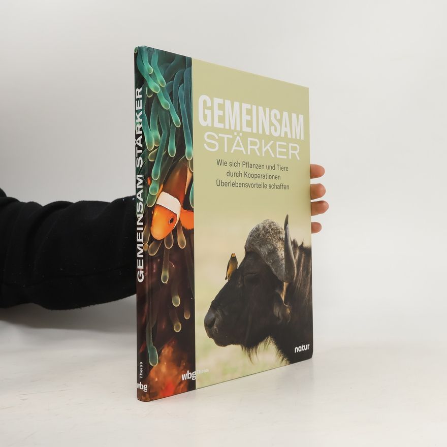 Andrea Stegemann Gemeinsam stärker
