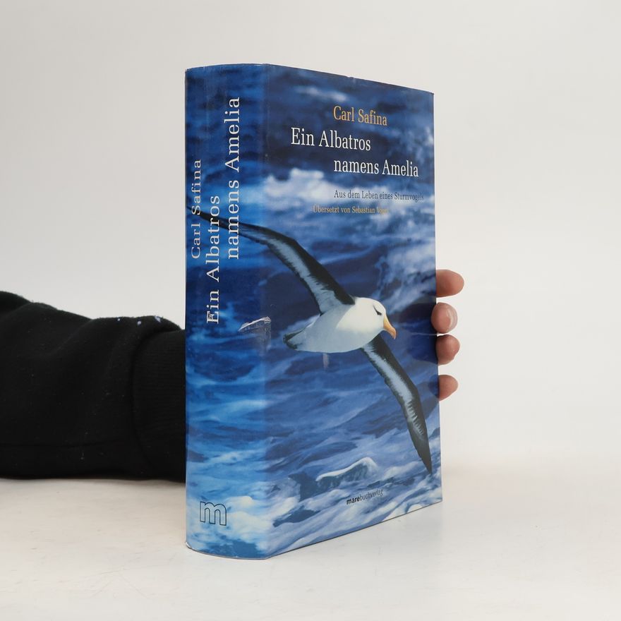Sebastian Vogel Ein Albatros namens Amelia