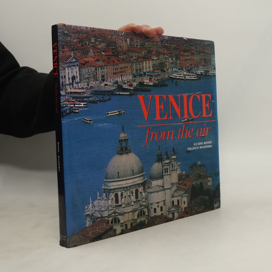 Franco Masiero Venice From the Air