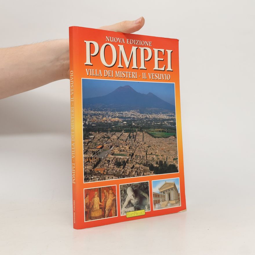 Kolektiv autorů Pompei. Villa dei misteri. Il Vesuvio