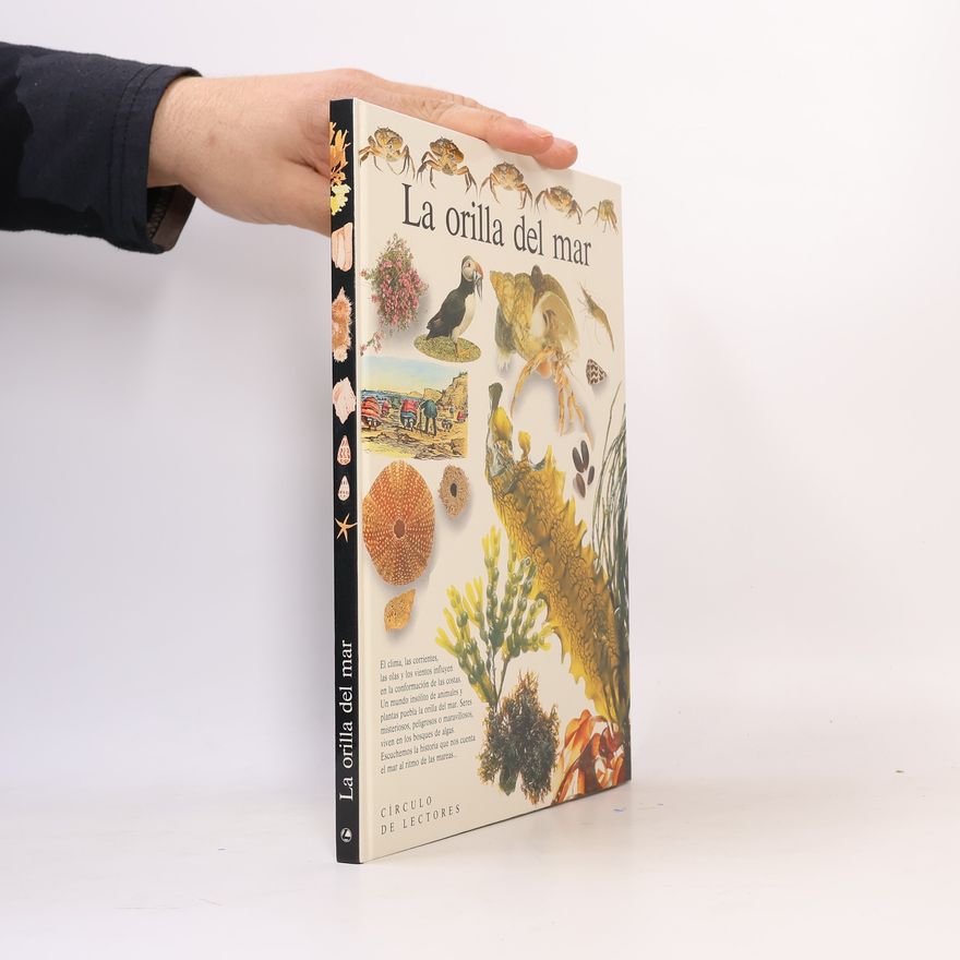 Collectif d'auteurs La orilla del mar
