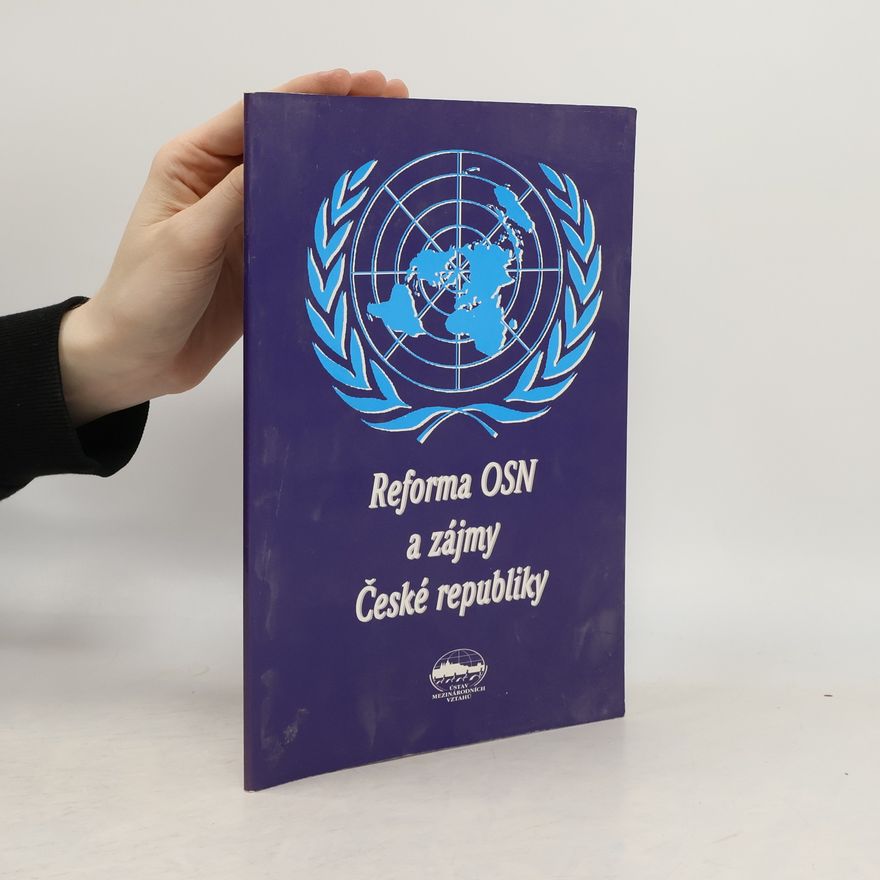 Radek Khol Reforma OSN a zájmy České republiky