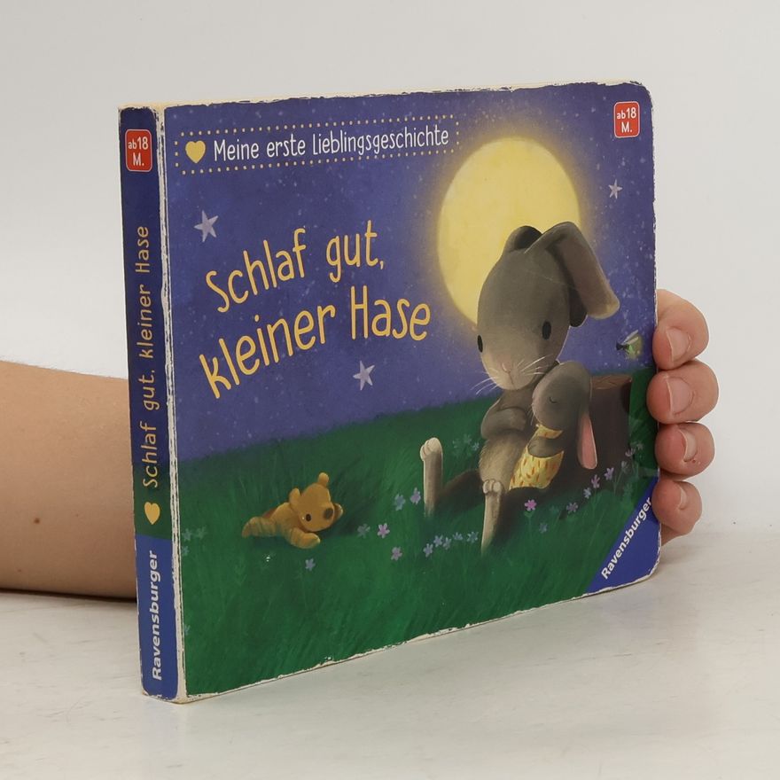 Sebastien Braun Meine erste Lieblingsgeschichte. Schlaf gut, kleiner Hase