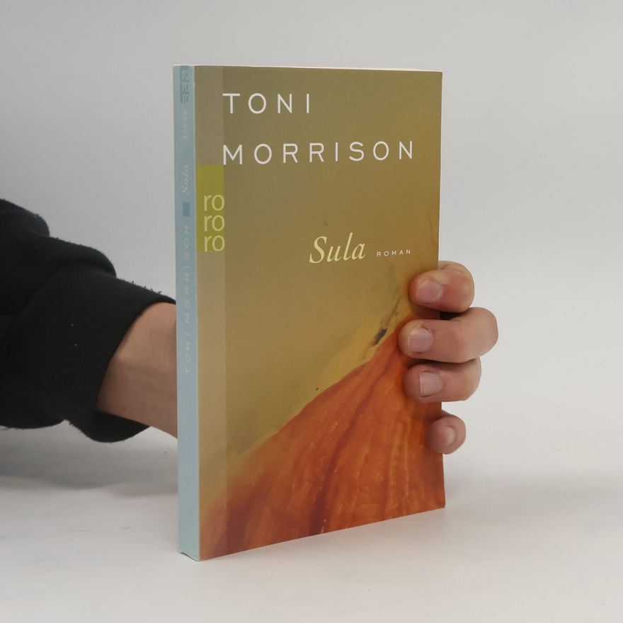 Toni Morrison Sula