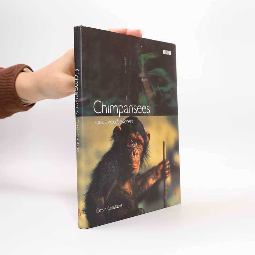 Nienke Noorman Chimpansees