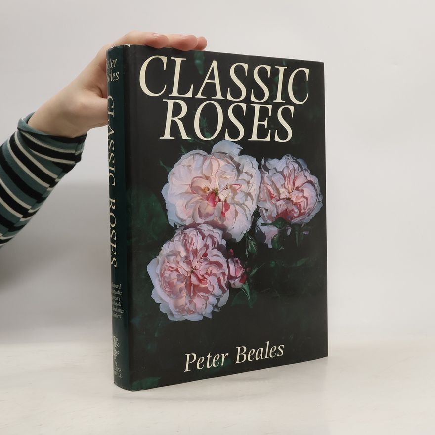 Amanda Beales Classic Roses