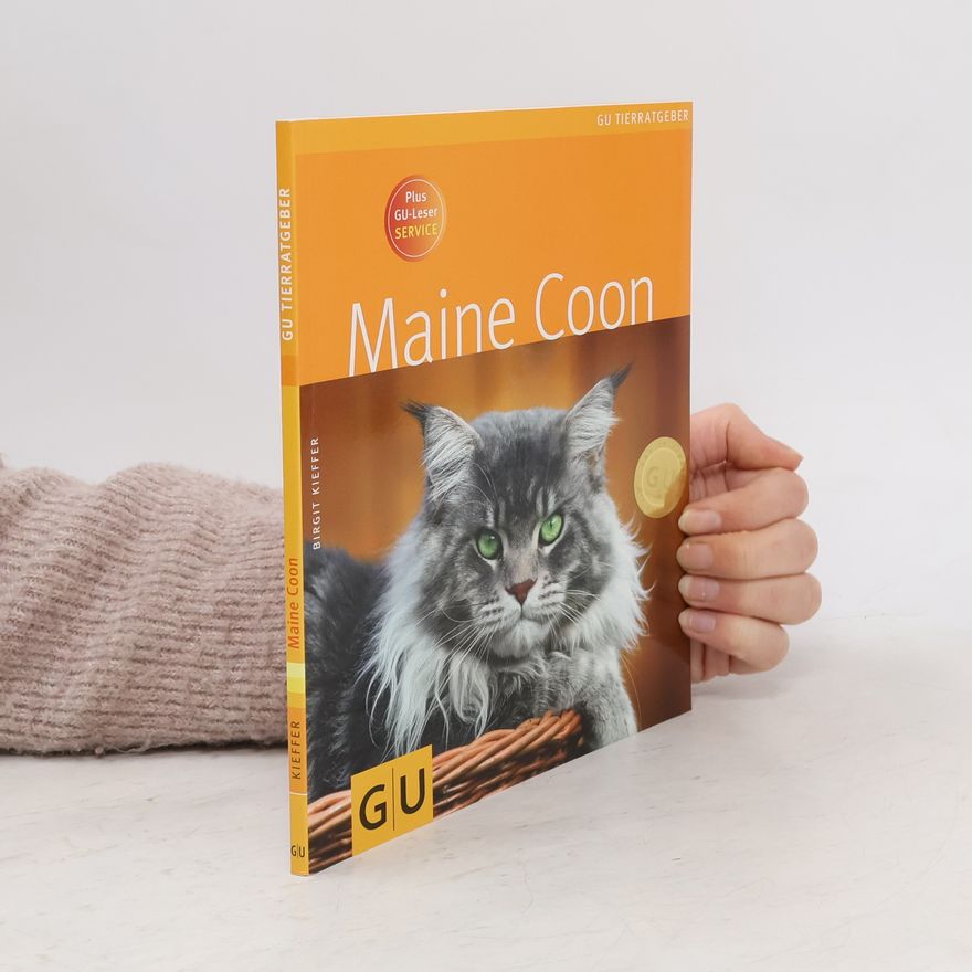 Birgit Kieffer Maine Coon
