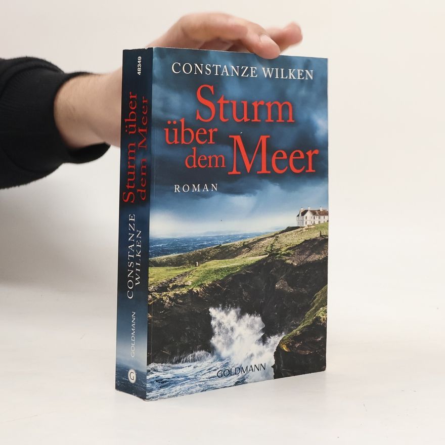 Constanze Wilken Sturm über dem Meer