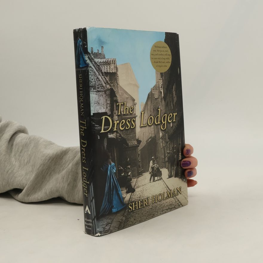 Sheri Holman The Dress Lodger