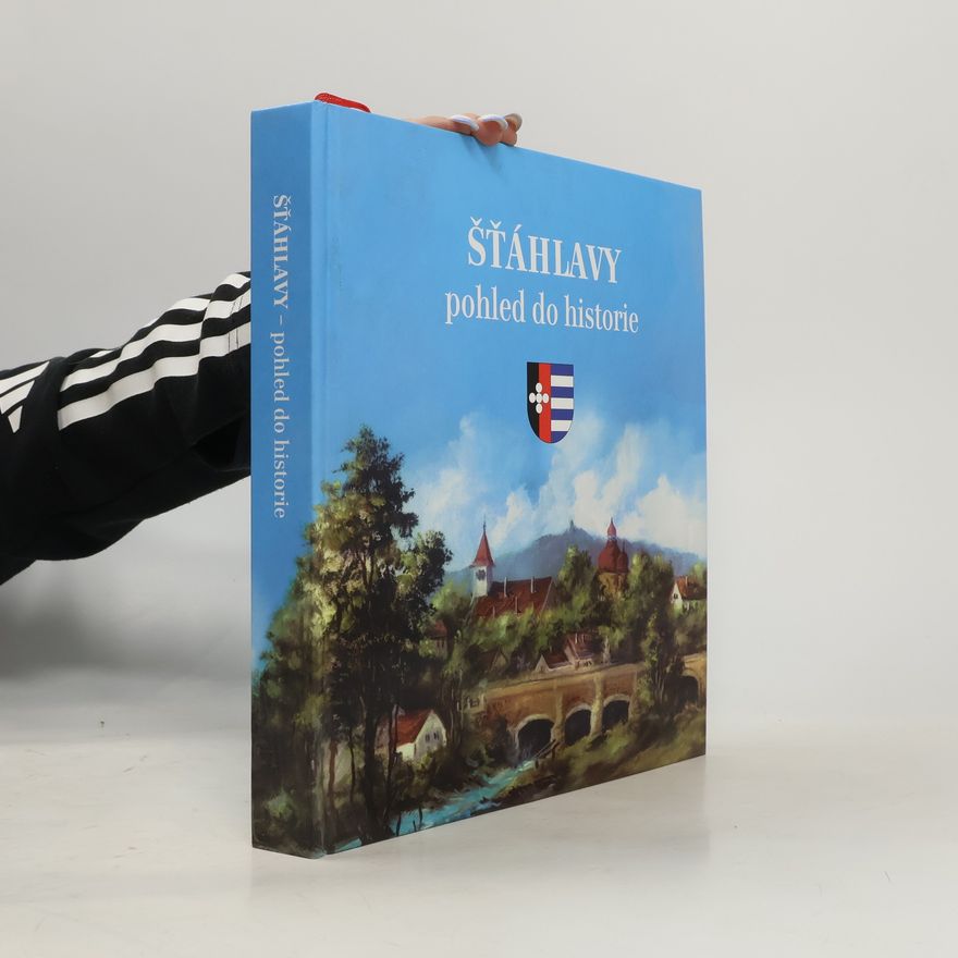 Roman Berkovec Šťáhlavy. Pohled do historie
