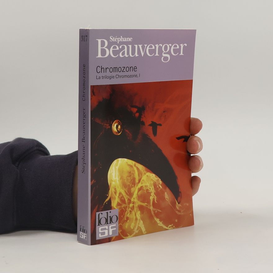 Stéphane Beauverger Chromozone