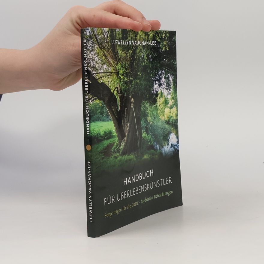 Llewellyn Vaughan-Lee Handbuch für Überlebenskünstler