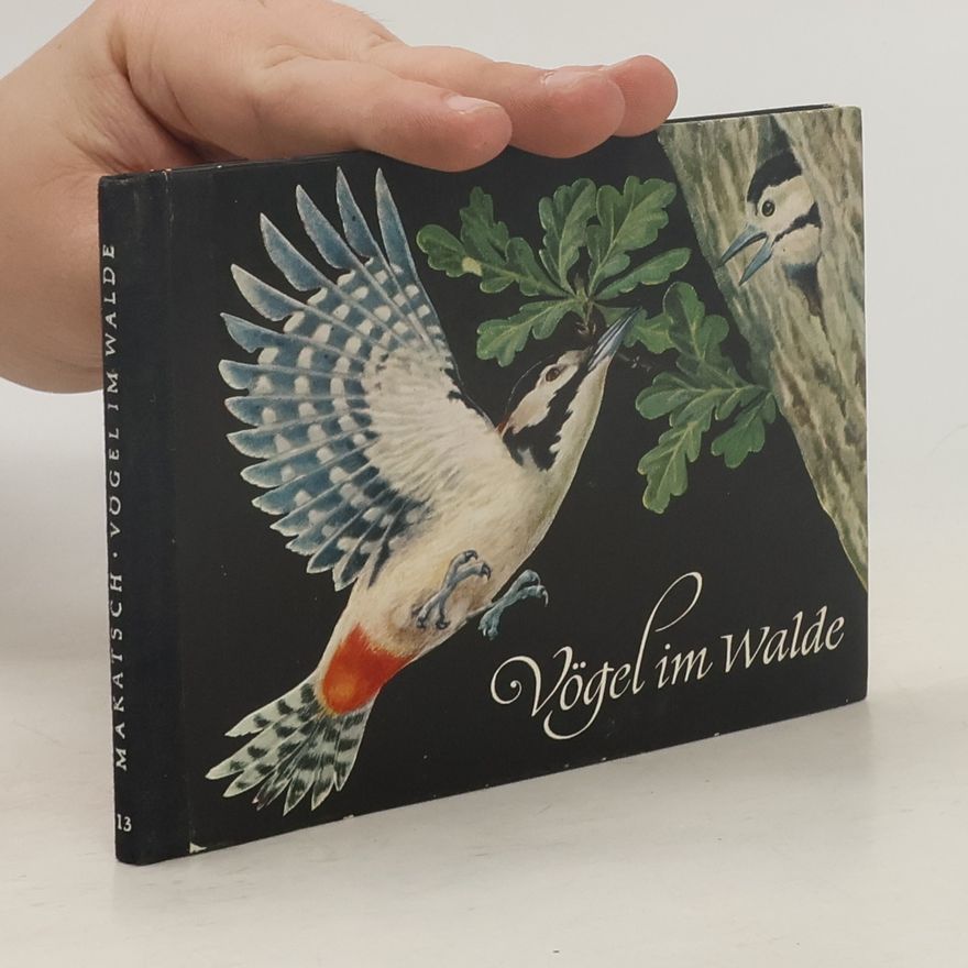 Kurt Schulze Vögel im Walde