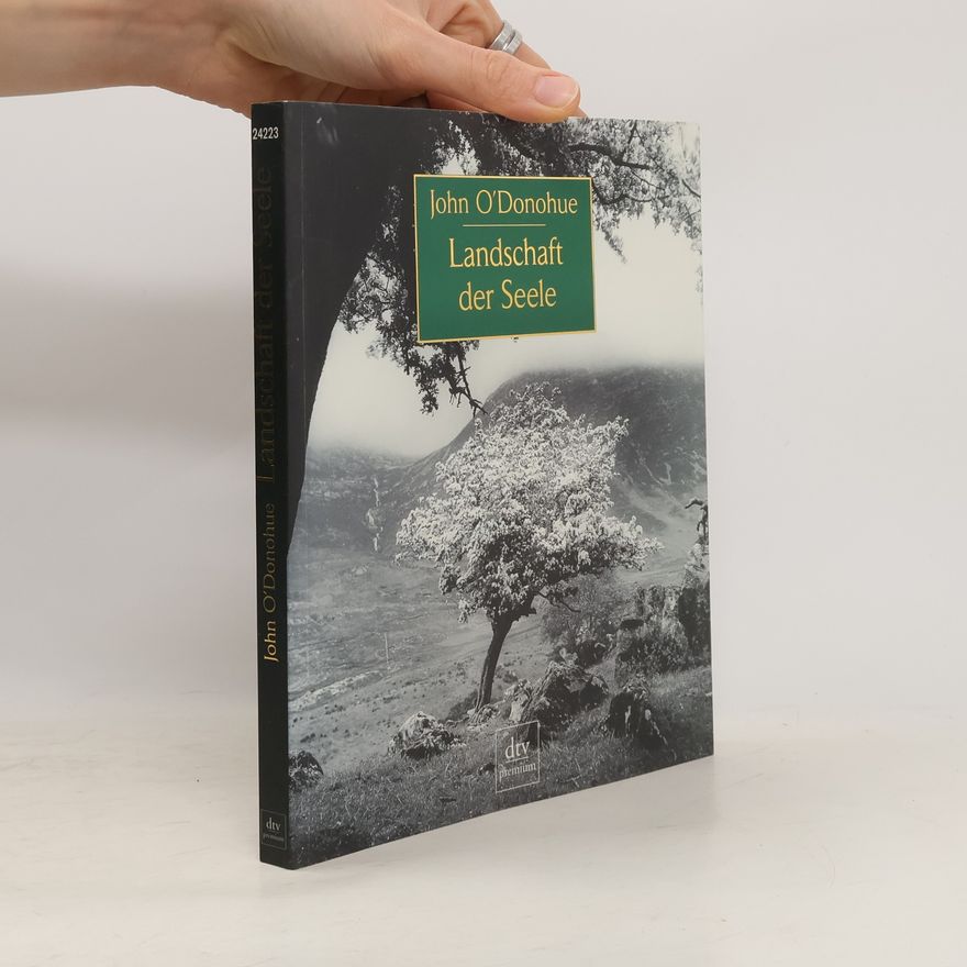 Fergus Bourke Landschaft der Seele