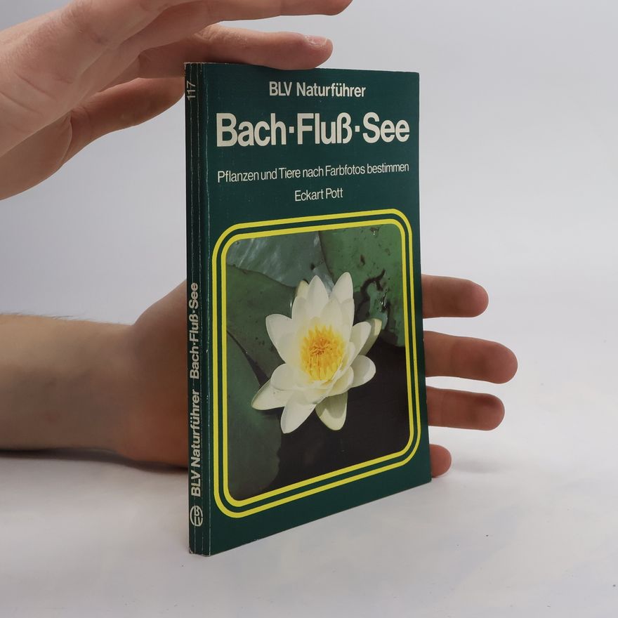 Eckart Pott Bach, Fluss, See