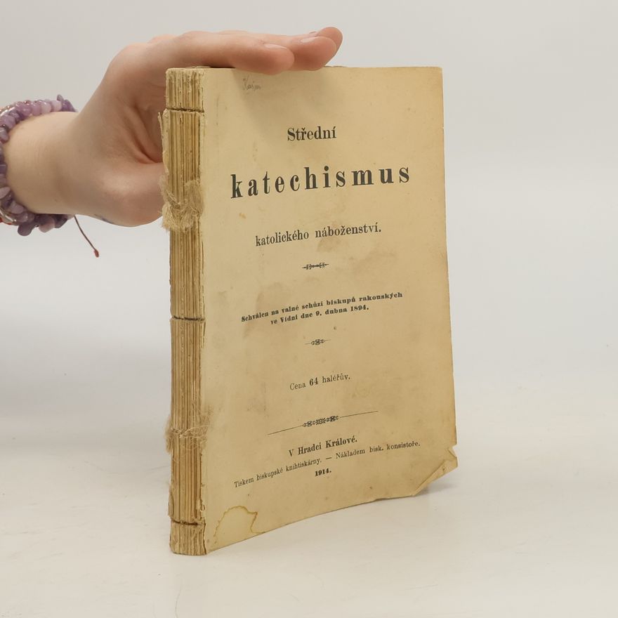 Autorenkollektiv Střední katechismus