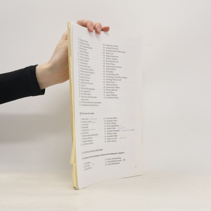 Zdenka Křížková Grammatische Übungen für Germanisten