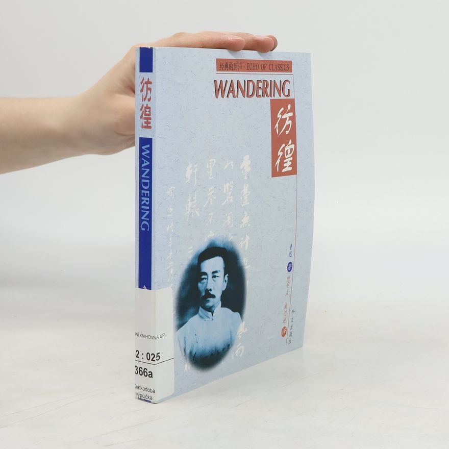 Dai Naidie Wandering 彷徨