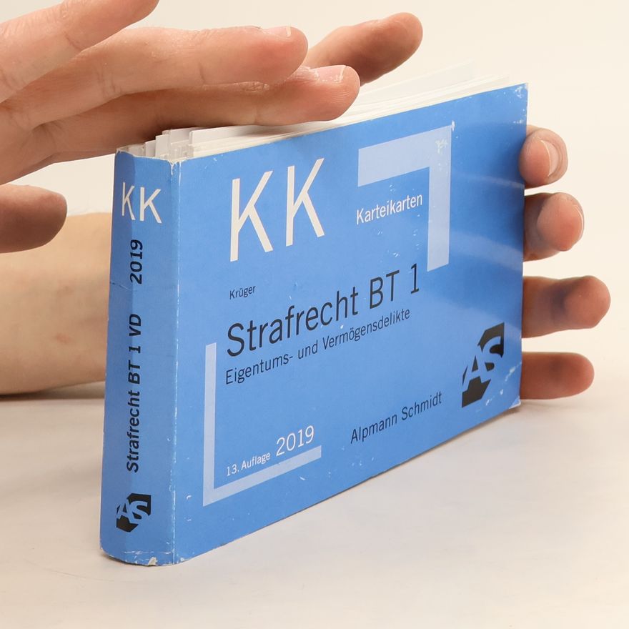 Rolf Krüger Karteikarten Strafrecht BT 1