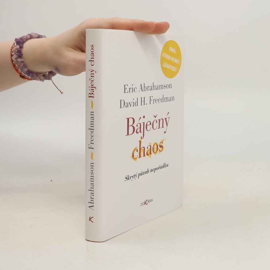 David H. Freedman Báječný chaos: Skrytý půvab nepořádku