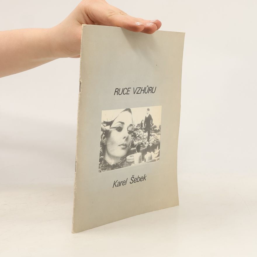 Karel Šebek Ruce vzhůru