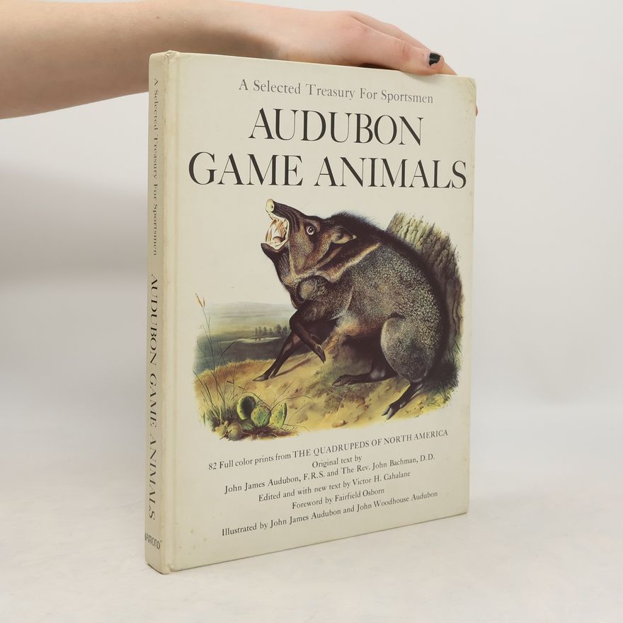 John James Audubon A Selected Treasury For Sportsman Audubon Game Animals