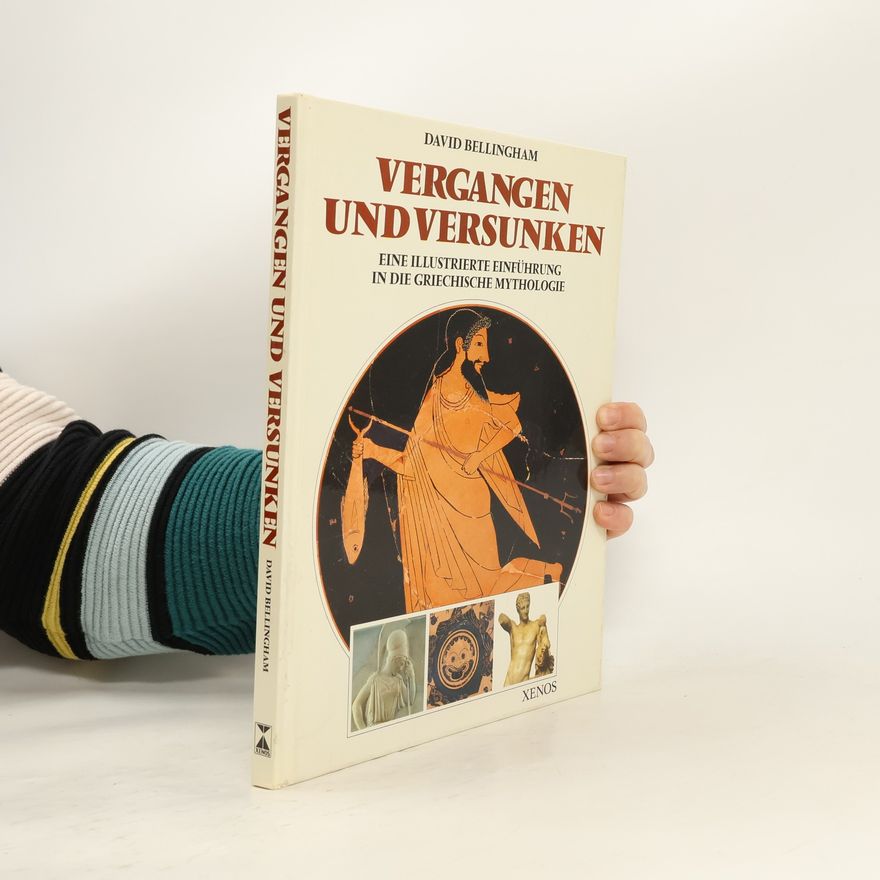 David Bellingham Vergangen und versunken