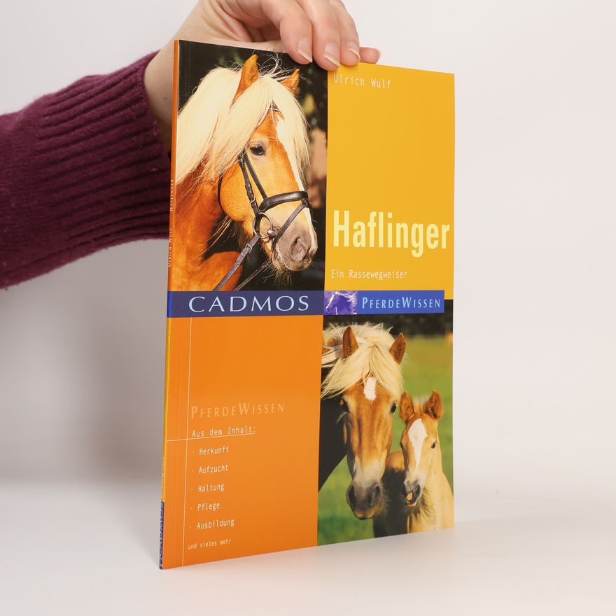 Ulrich Wulf Haflinger
