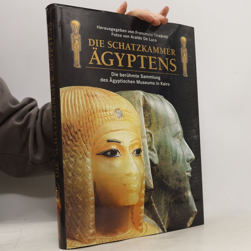 Francesco Tiradritti Die Schatzkammer Ägyptens