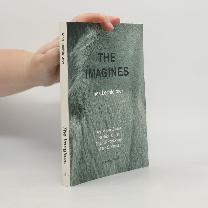 Béatrice Gross The Imagines: Édition Bilingue (Anglais / Allemand)