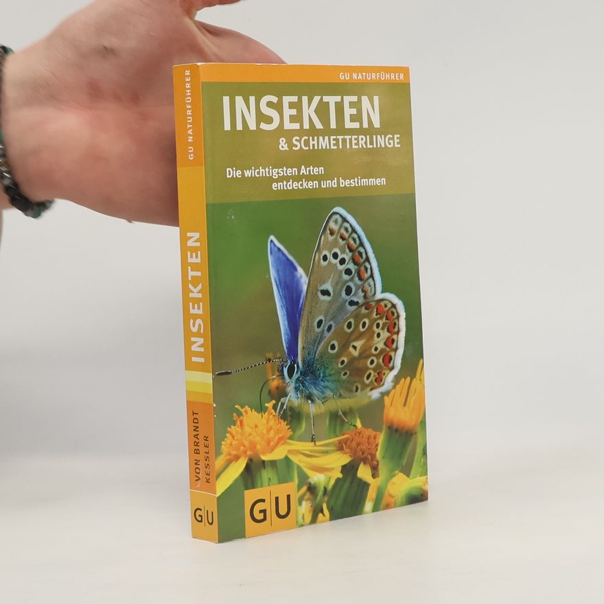 Ingrid von Brandt Insekten und Schmetterlinge