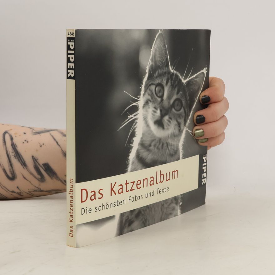 Julia Bachstein Das Katzenalbum