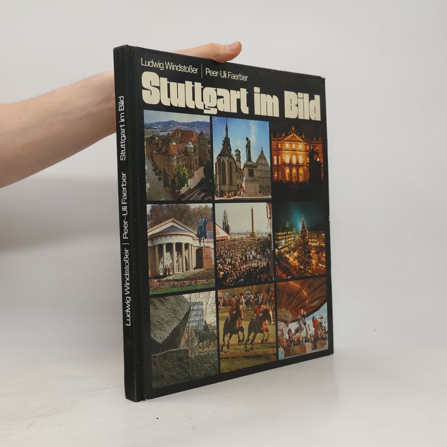 Peer Uli Faerber Stuttgart im Bild