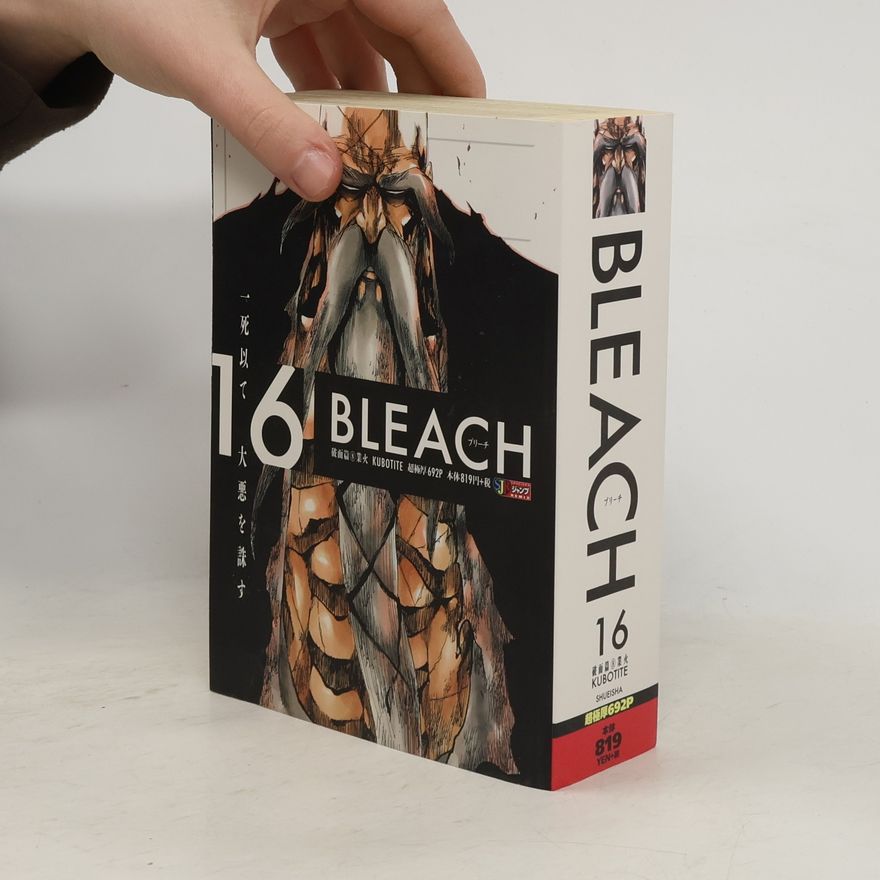 Tite Kubo Bleach 16