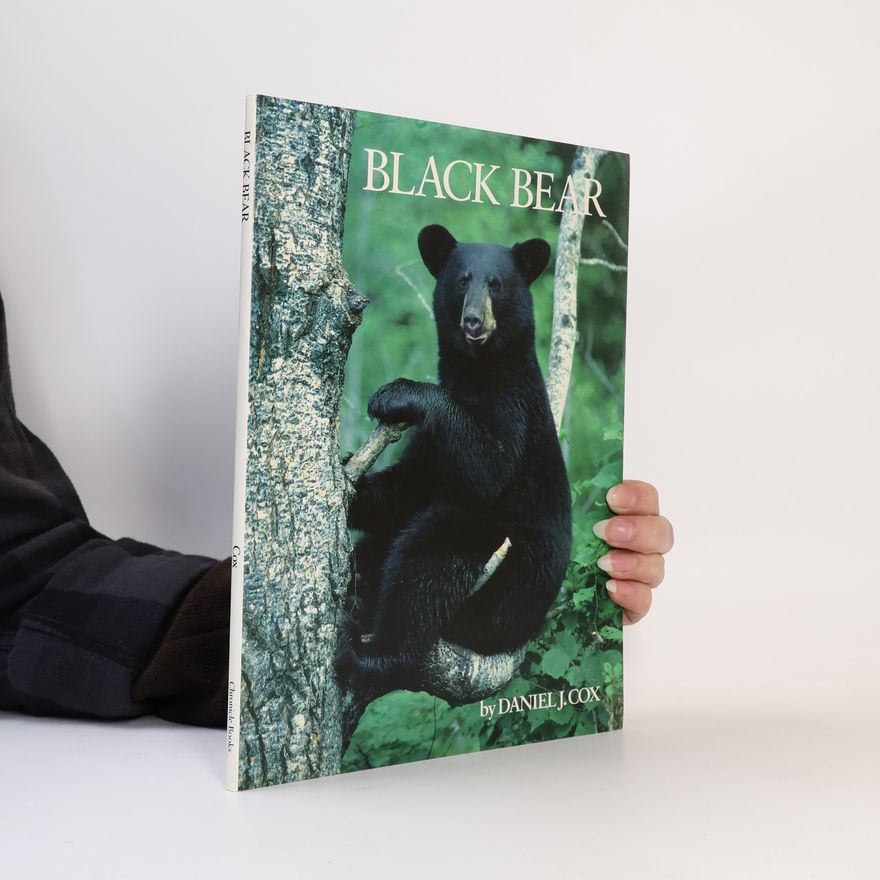 Daniel J. Cox Black Bear